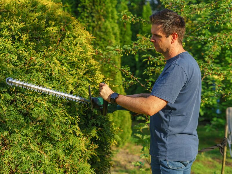 Garden & Landscaping